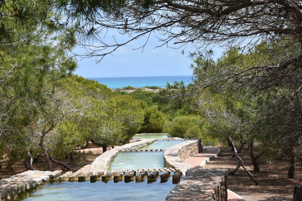 Apartment Vinamar III - Sunny La Mata La Mata  Exteriör bild